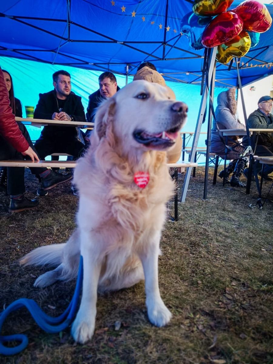 Zdjęcie w galerii na portalu naszraciborz.pl: Angel Hair z Krzyżanowic zebrało ponad 17 tysięcy złotych dla WOŚP! wiadomości z regionu