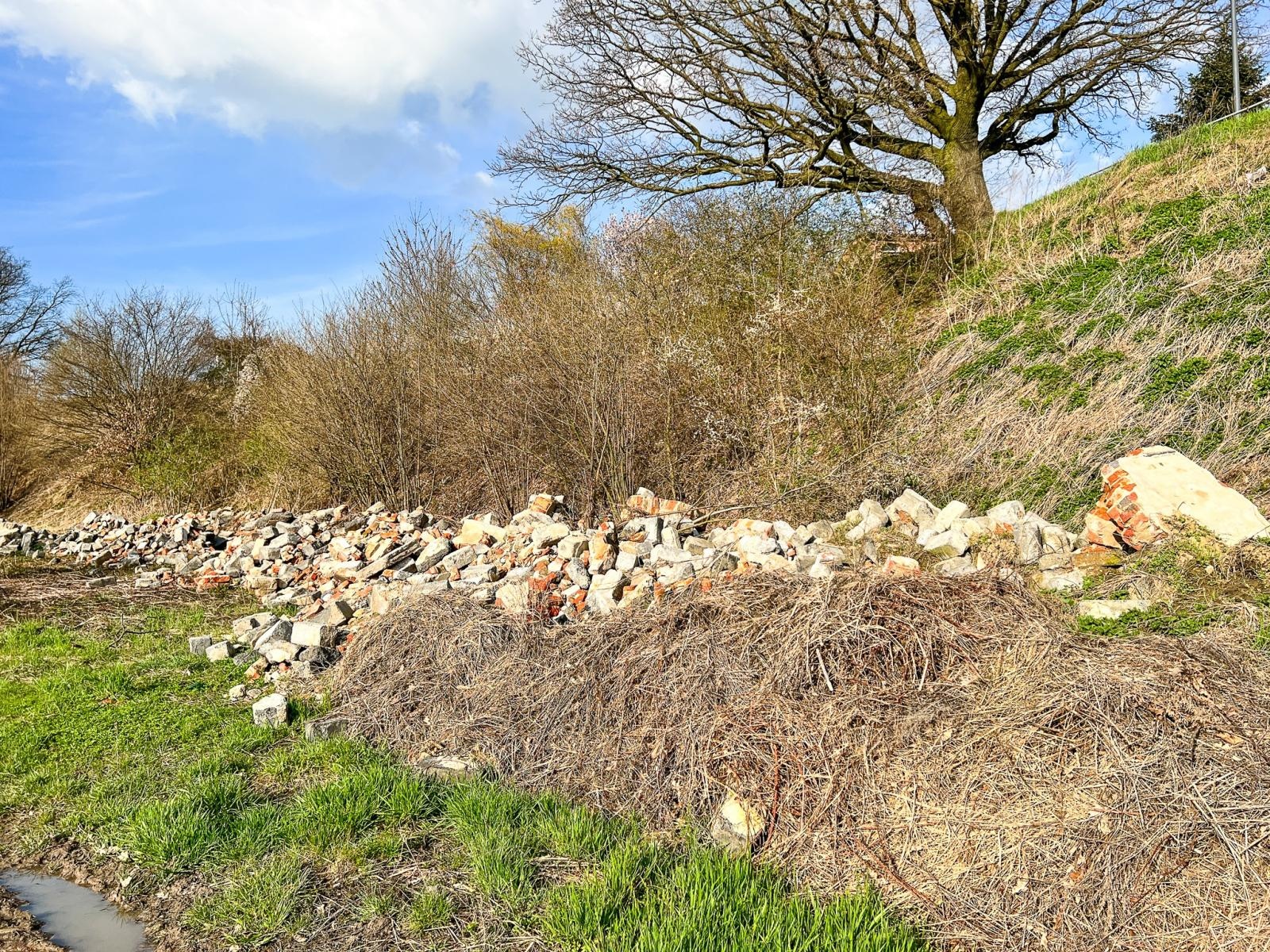 Zdjęcie w galerii na portalu naszraciborz.pl: Zielona przestrzeń. Pogrzebień pokazał, że to dobra inicjatywa wiadomości z regionu