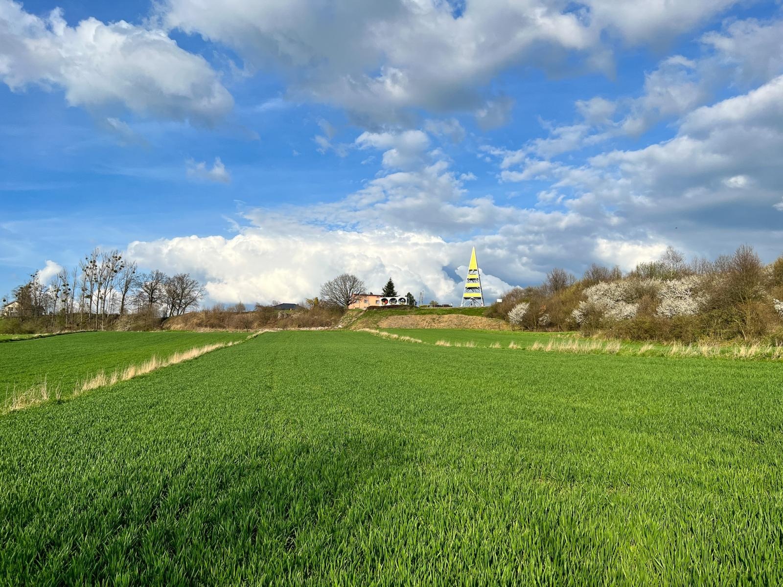 Zdjęcie w galerii na portalu naszraciborz.pl: Zielona przestrzeń. Pogrzebień pokazał, że to dobra inicjatywa wiadomości z regionu