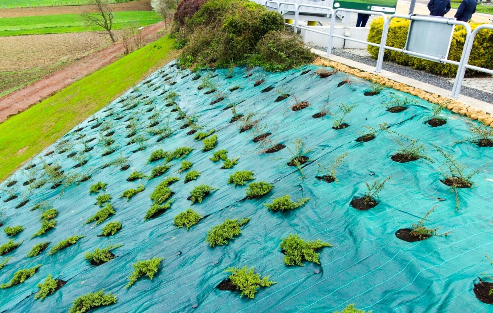 Zdjęcie w galerii na portalu naszraciborz.pl: Zielona przestrzeń. Pogrzebień pokazał, że to dobra inicjatywa wiadomości z regionu