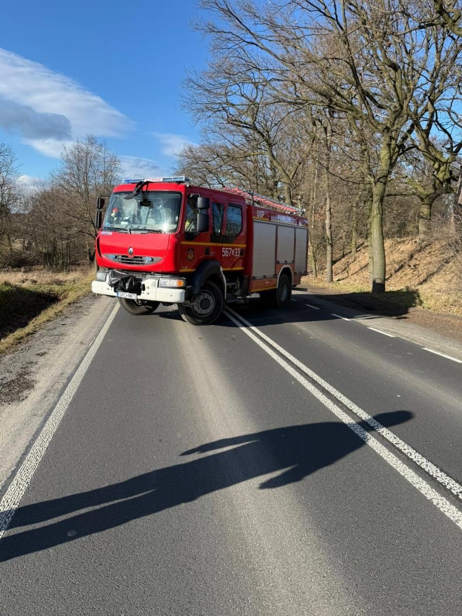 Zdjęcie w galerii na portalu naszraciborz.pl: Raport 998. Pochylone drzewo w Pawłowie wiadomości z regionu