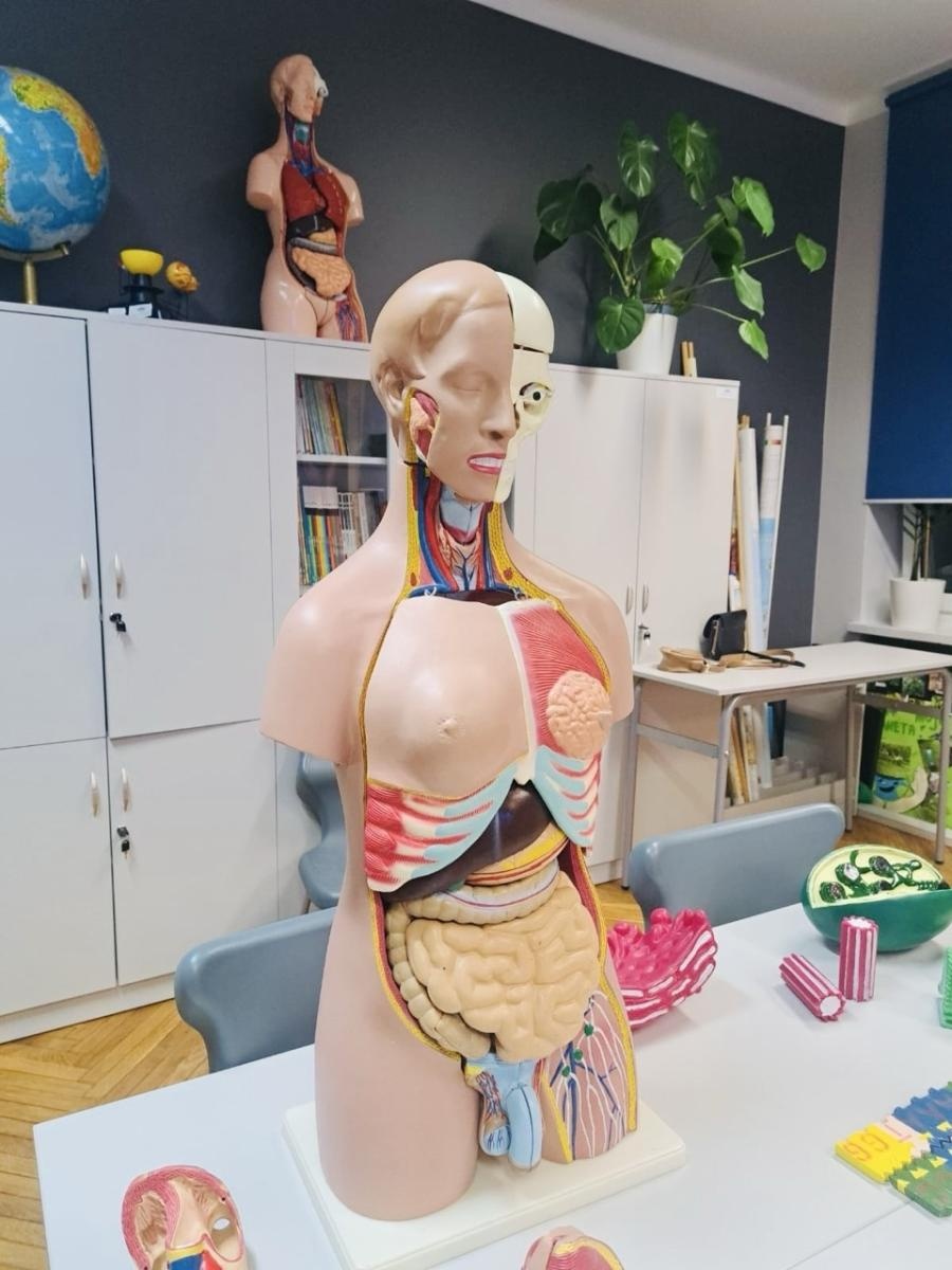 Zdjęcie w galerii na portalu naszraciborz.pl: Dni Otwarte w Szkole Podstawowej nr 13 – pierwszoklasiści poznali szkołę wiadomości z regionu