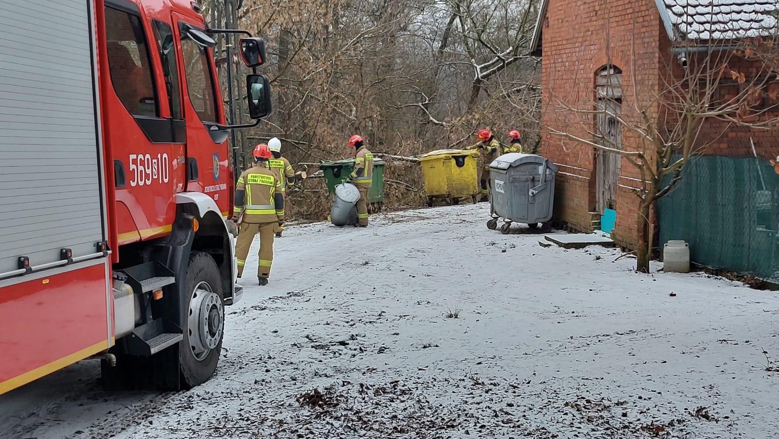 Zdjęcie w galerii na portalu naszraciborz.pl: Raport 998. Dziecko w opresji przy Rybnickiej, drzewo na słupie w Rudach wiadomości z regionu