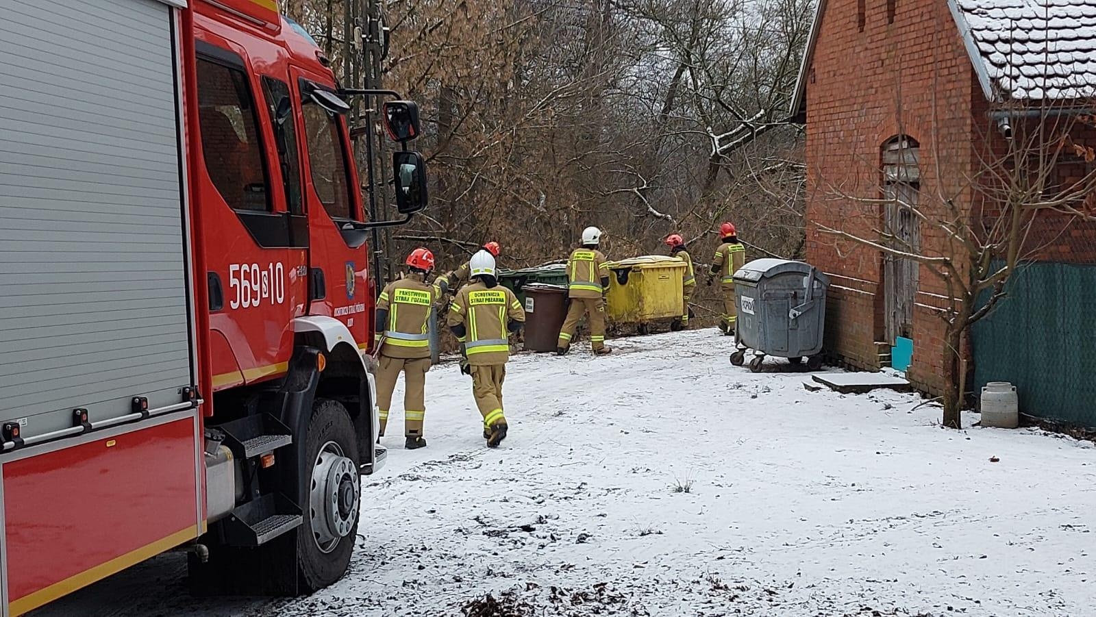 Zdjęcie w galerii na portalu naszraciborz.pl: Raport 998. Dziecko w opresji przy Rybnickiej, drzewo na słupie w Rudach wiadomości z regionu