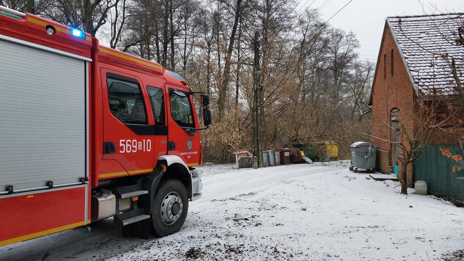Zdjęcie w galerii na portalu naszraciborz.pl: Raport 998. Dziecko w opresji przy Rybnickiej, drzewo na słupie w Rudach wiadomości z regionu
