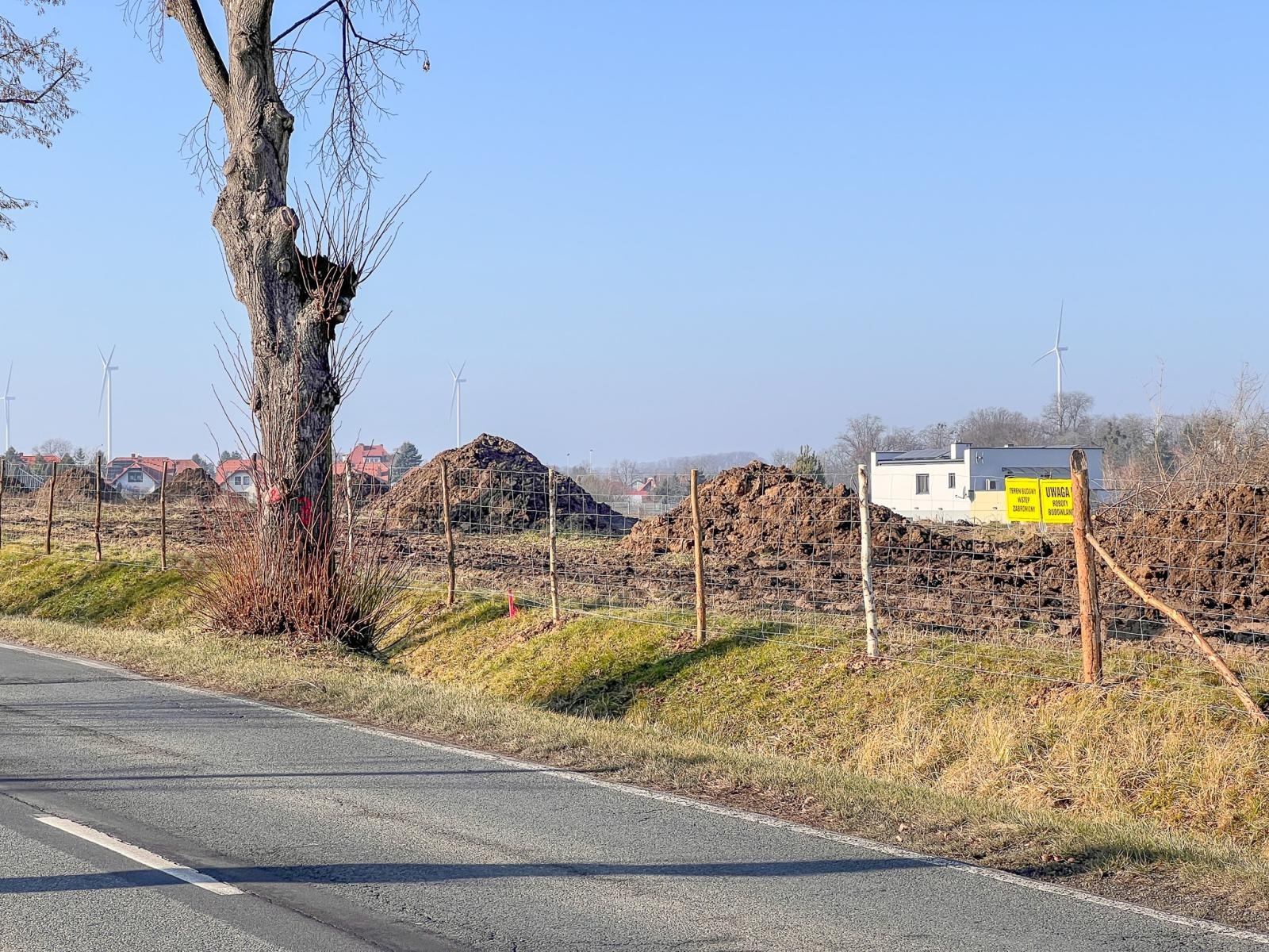 Zdjęcie w galerii na portalu naszraciborz.pl: Drzewa wzdłuż Opawskiej do wycinki? Radny interweniuje, miasto odpowiada wiadomości z regionu
