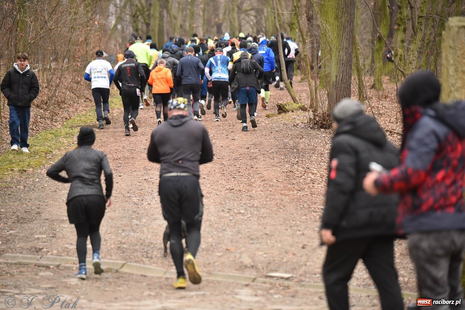 Zdjęcie w galerii na portalu naszraciborz.pl: Mateusz Mrówka zwycięzcą XIII Biegu Twardziela [FOTO i WIDEO] wiadomości z regionu