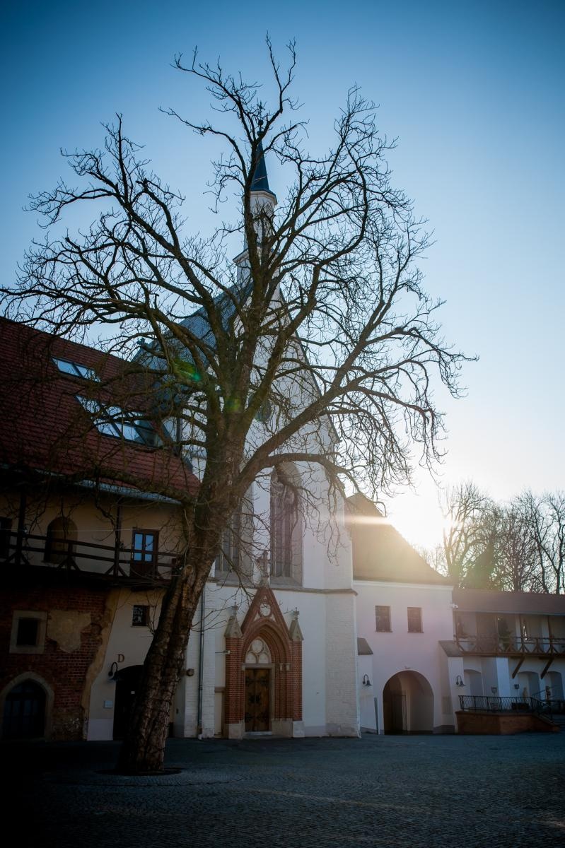 Zdjęcie w galerii na portalu naszraciborz.pl: Msza św. w intencji chorych w kaplicy zamkowej  wiadomości z regionu