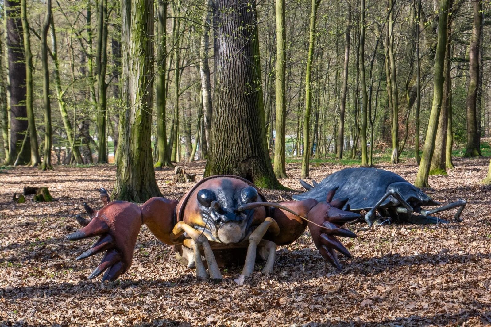 Zdjęcie w galerii na portalu naszraciborz.pl: Owady w skali makro wracają do lasu Obora! Hit raciborskiego arboretum znów dostępny dla zwiedzających wiadomości z regionu