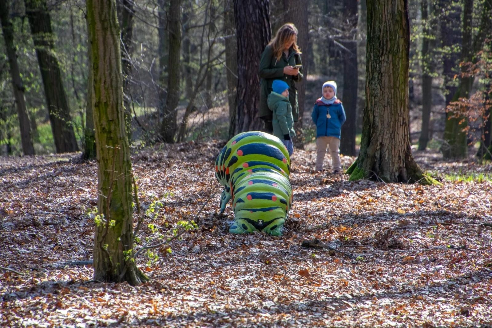 Zdjęcie w galerii na portalu naszraciborz.pl: Owady w skali makro wracają do lasu Obora! Hit raciborskiego arboretum znów dostępny dla zwiedzających wiadomości z regionu
