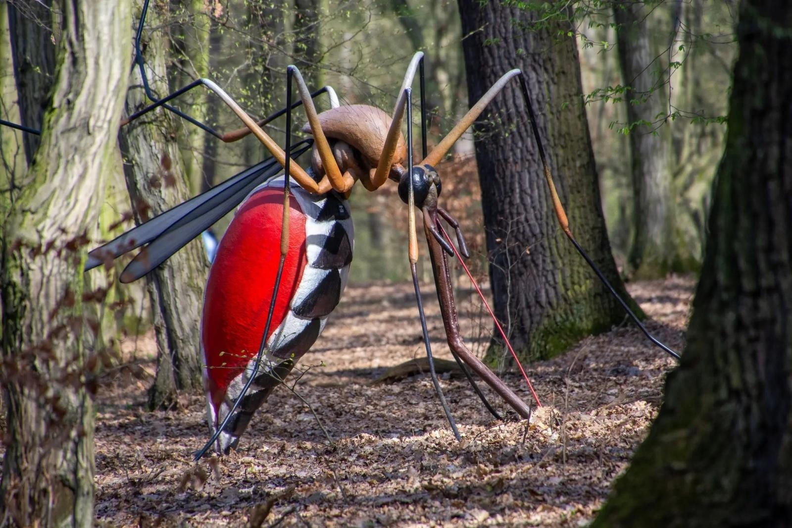 Zdjęcie w galerii na portalu naszraciborz.pl: Owady w skali makro wracają do lasu Obora! Hit raciborskiego arboretum znów dostępny dla zwiedzających wiadomości z regionu
