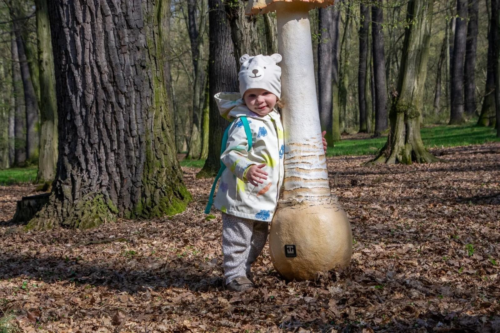 Zdjęcie w galerii na portalu naszraciborz.pl: Owady w skali makro wracają do lasu Obora! Hit raciborskiego arboretum znów dostępny dla zwiedzających wiadomości z regionu