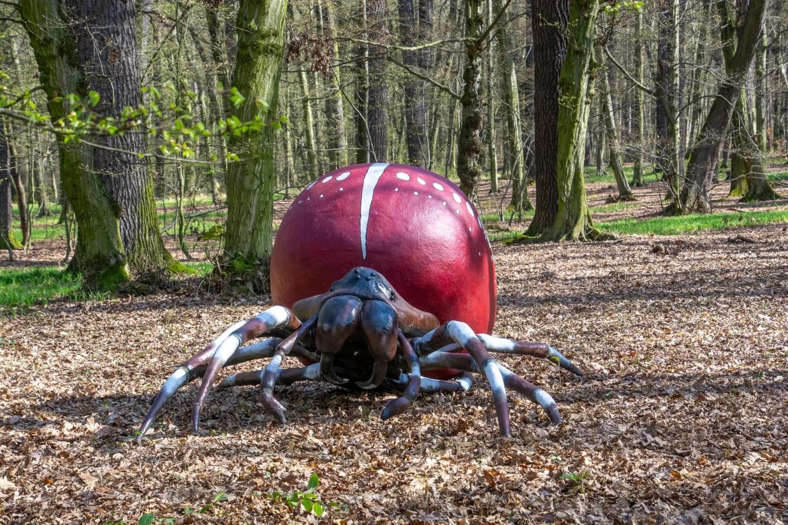 Zdjęcie w galerii na portalu naszraciborz.pl: Owady w skali makro wracają do lasu Obora! Hit raciborskiego arboretum znów dostępny dla zwiedzających wiadomości z regionu