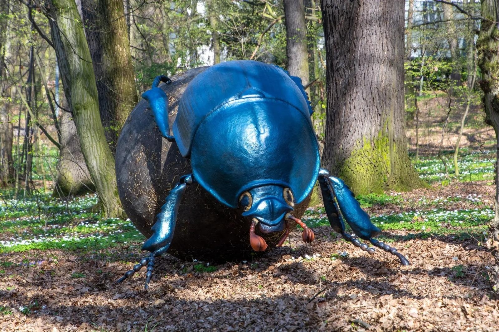 Zdjęcie w galerii na portalu naszraciborz.pl: Owady w skali makro wracają do lasu Obora! Hit raciborskiego arboretum znów dostępny dla zwiedzających wiadomości z regionu