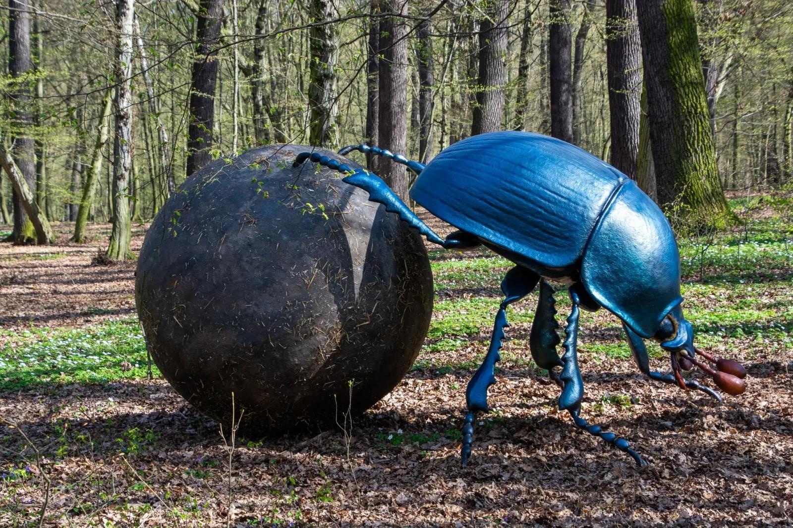 Zdjęcie w galerii na portalu naszraciborz.pl: Owady w skali makro wracają do lasu Obora! Hit raciborskiego arboretum znów dostępny dla zwiedzających wiadomości z regionu