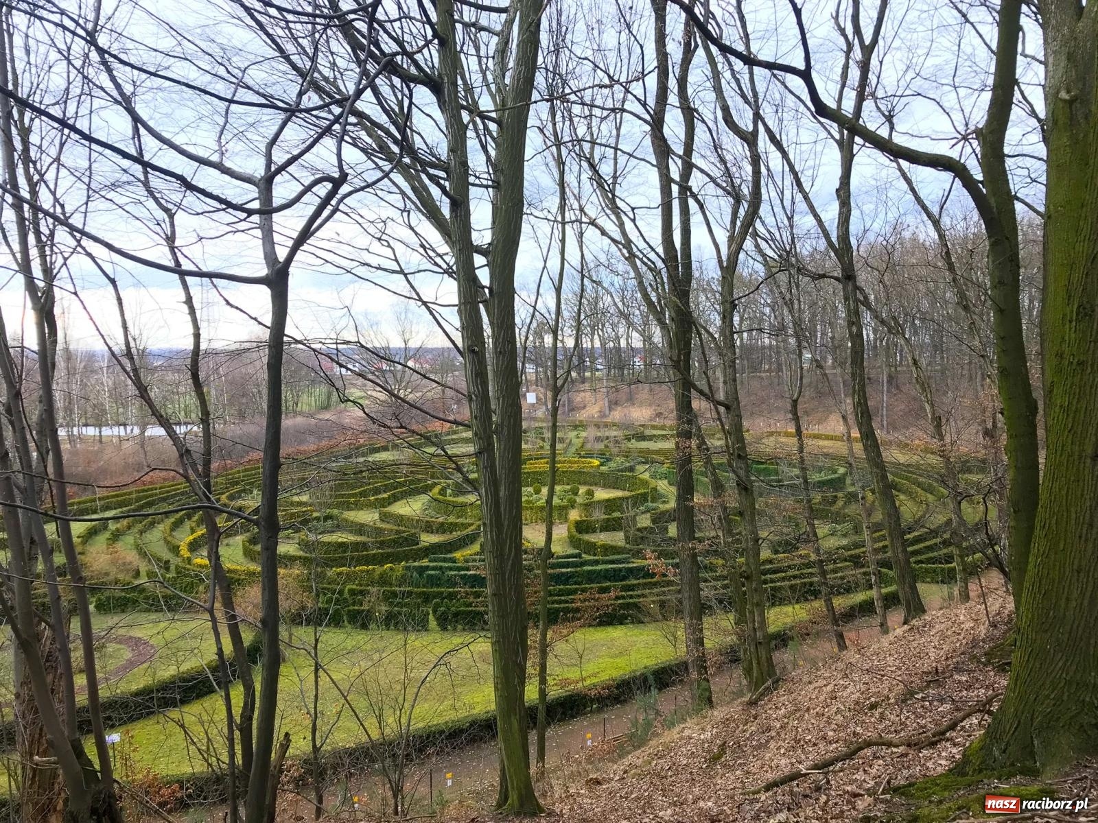 Zdjęcie w galerii na portalu naszraciborz.pl: Arboretum Bramy Morawskiej planuje kolejną atrakcję w Zaczarowanym Ogrodzie wiadomości z regionu