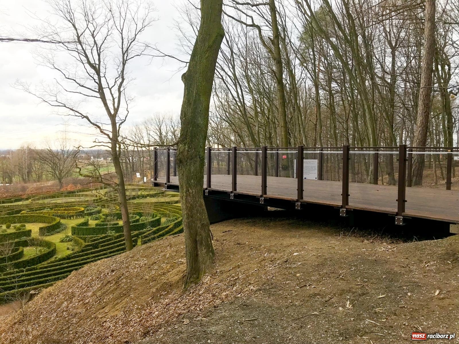 Zdjęcie w galerii na portalu naszraciborz.pl: Arboretum Bramy Morawskiej planuje kolejną atrakcję w Zaczarowanym Ogrodzie wiadomości z regionu