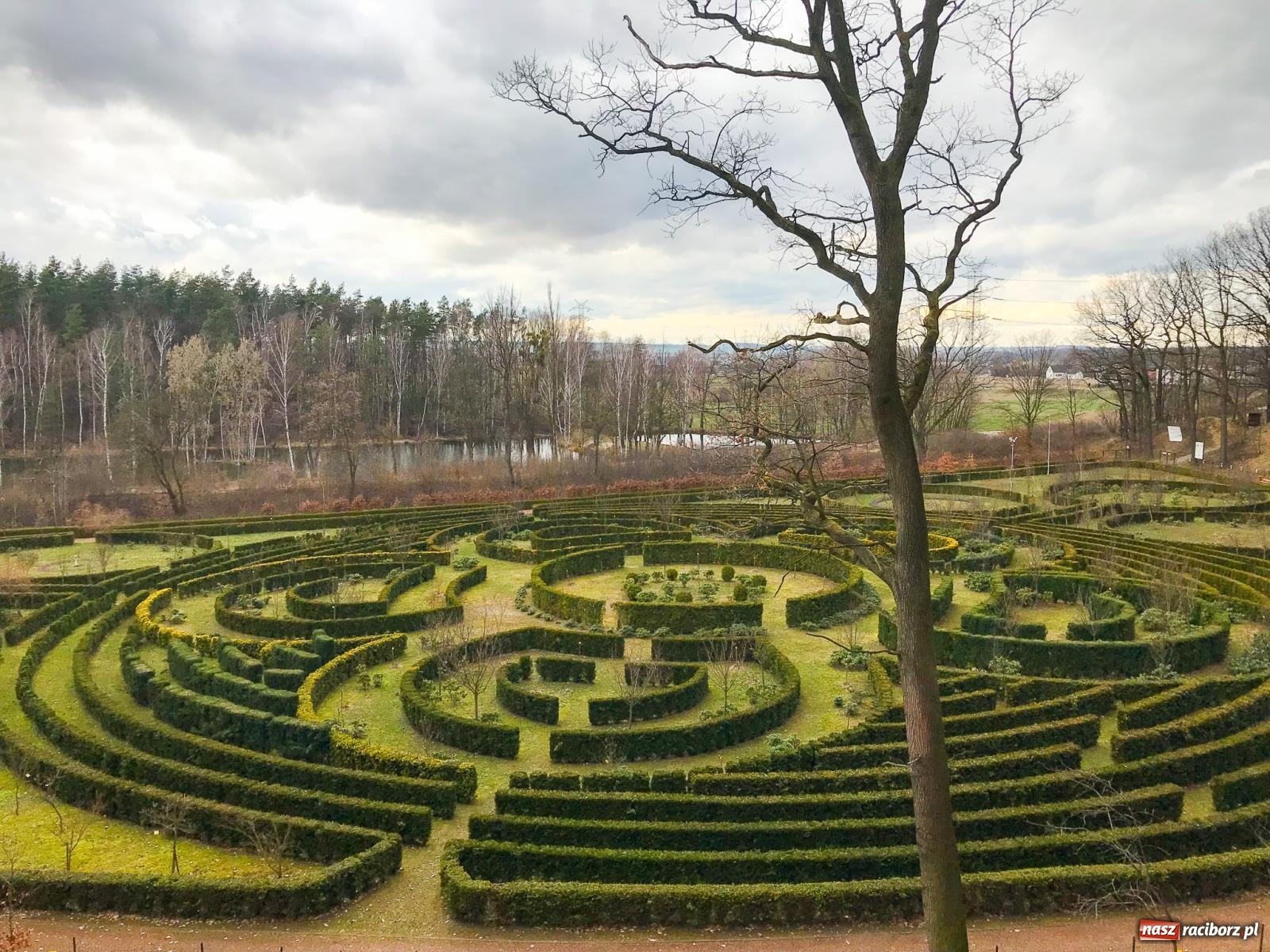 Zdjęcie w galerii na portalu naszraciborz.pl: Arboretum Bramy Morawskiej planuje kolejną atrakcję w Zaczarowanym Ogrodzie wiadomości z regionu