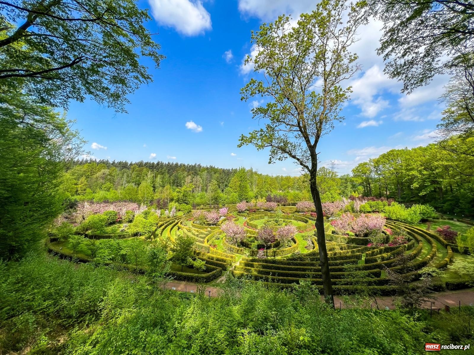 Zdjęcie w galerii na portalu naszraciborz.pl: Arboretum Bramy Morawskiej planuje kolejną atrakcję w Zaczarowanym Ogrodzie wiadomości z regionu