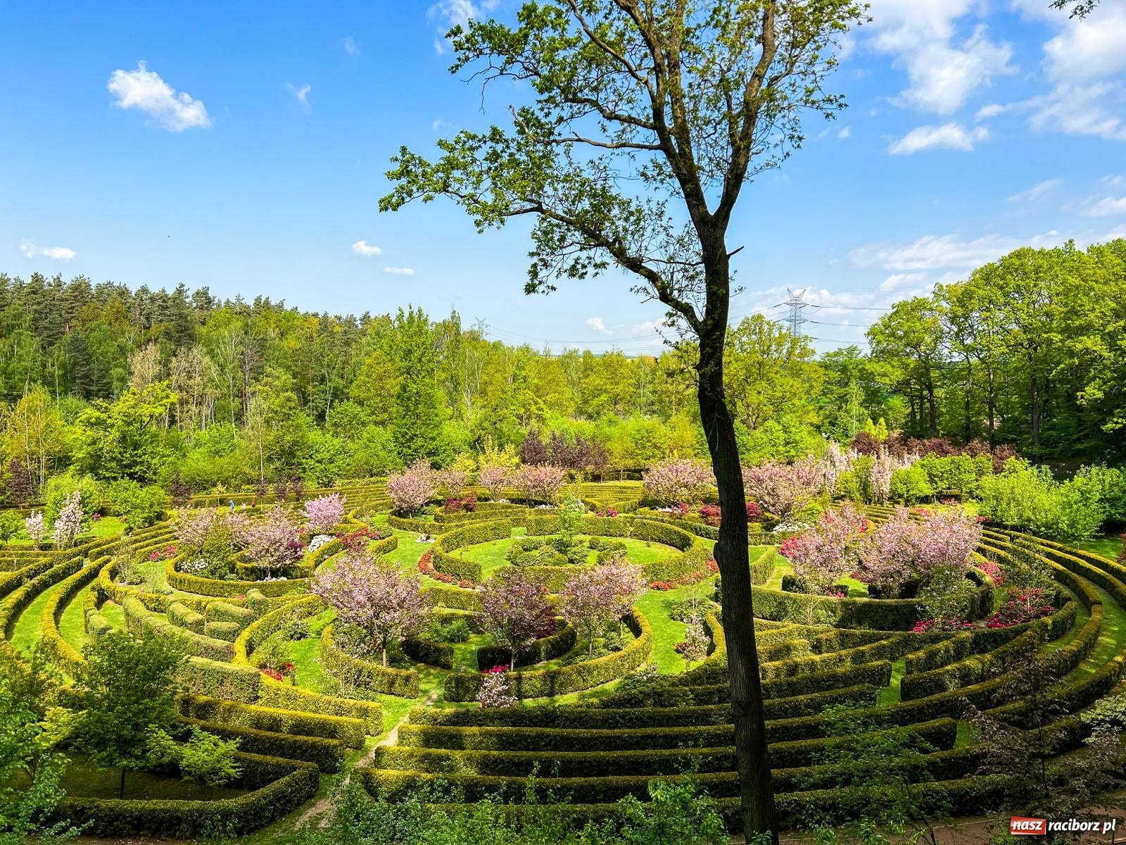Zdjęcie w galerii na portalu naszraciborz.pl: Arboretum Bramy Morawskiej planuje kolejną atrakcję w Zaczarowanym Ogrodzie wiadomości z regionu