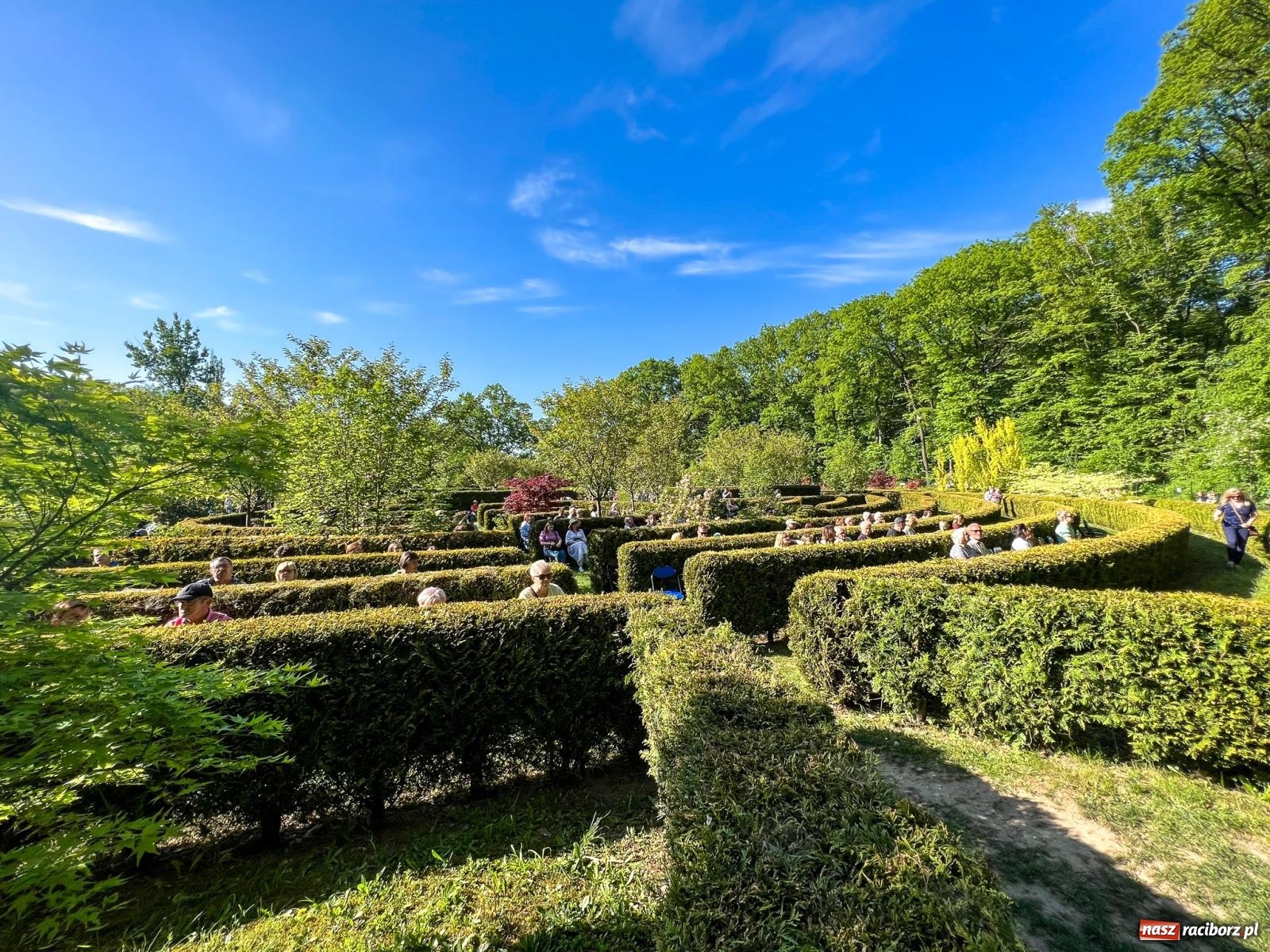 Zdjęcie w galerii na portalu naszraciborz.pl: Arboretum Bramy Morawskiej planuje kolejną atrakcję w Zaczarowanym Ogrodzie wiadomości z regionu