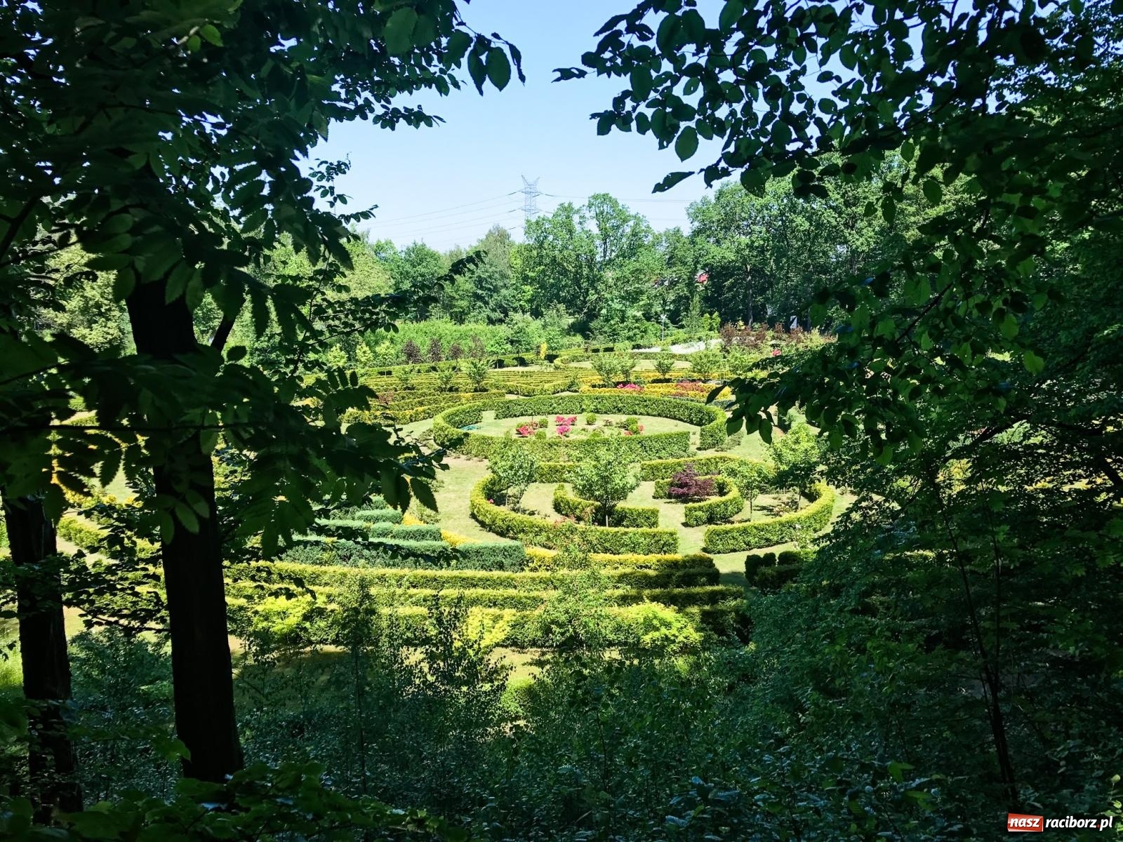 Zdjęcie w galerii na portalu naszraciborz.pl: Arboretum Bramy Morawskiej planuje kolejną atrakcję w Zaczarowanym Ogrodzie wiadomości z regionu