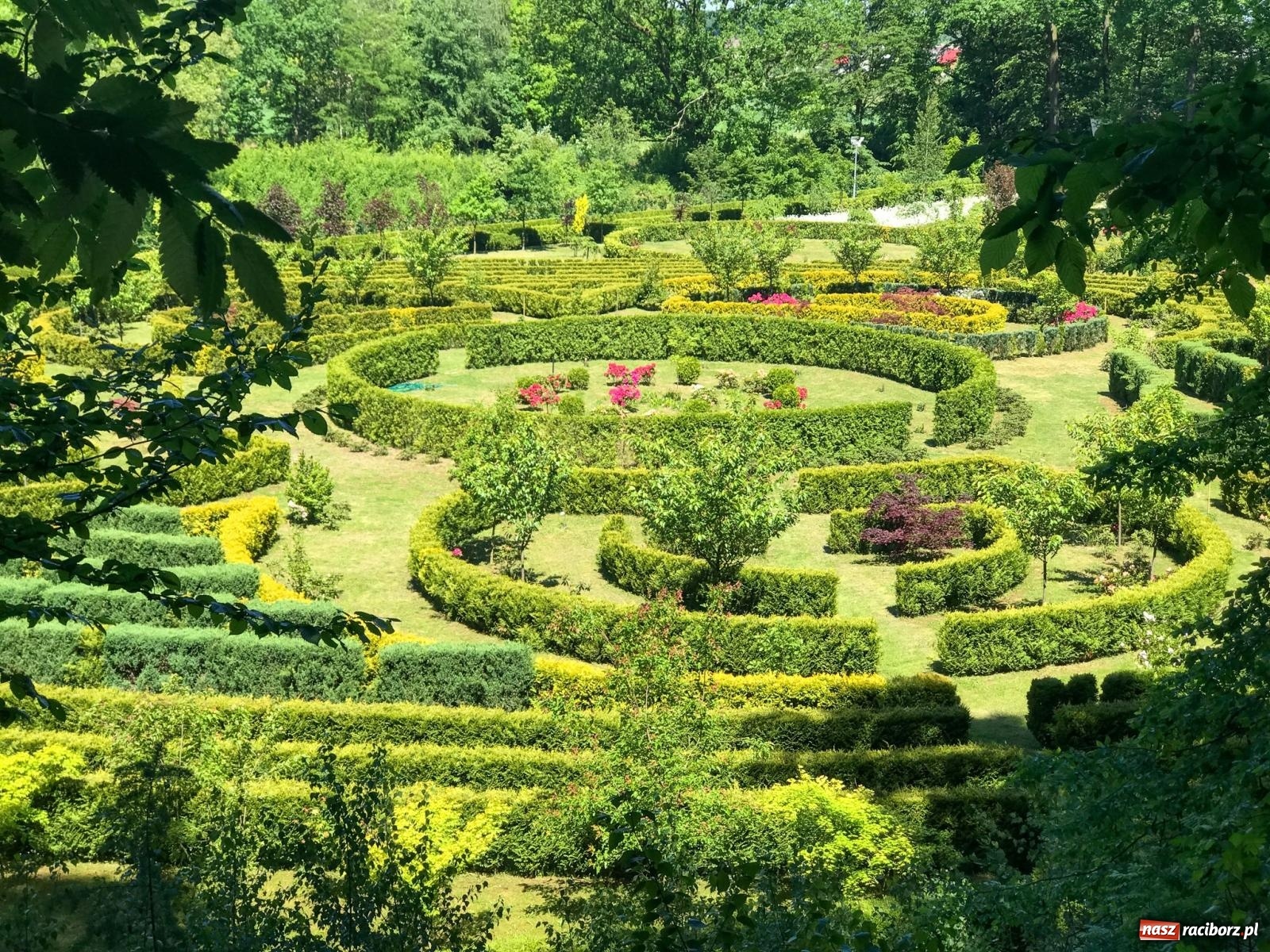Zdjęcie w galerii na portalu naszraciborz.pl: Arboretum Bramy Morawskiej planuje kolejną atrakcję w Zaczarowanym Ogrodzie wiadomości z regionu