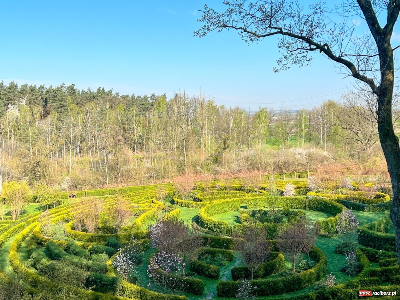 Zdjęcie w galerii na portalu naszraciborz.pl: Arboretum Bramy Morawskiej planuje kolejną atrakcję w Zaczarowanym Ogrodzie wiadomości z regionu