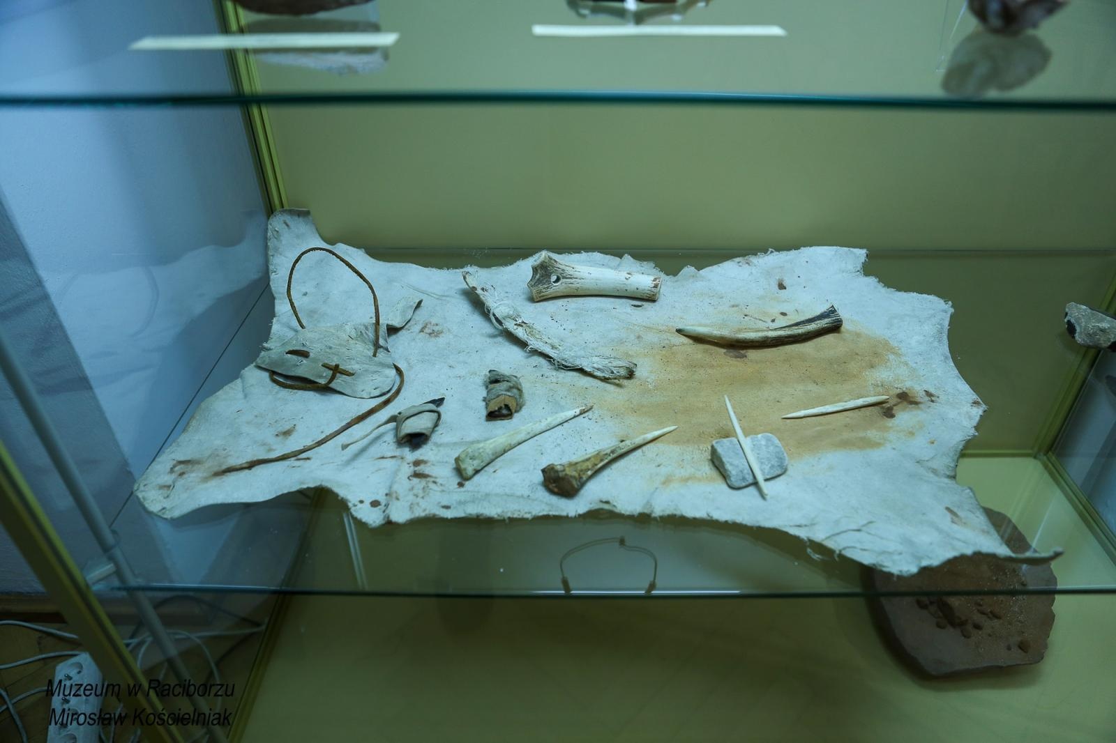 Zdjęcie w galerii na portalu naszraciborz.pl: Spotkanie z zabytkami: paleolityczna sztuka naskalna wiadomości z regionu