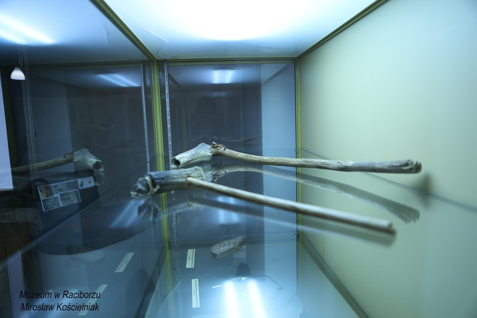 Zdjęcie w galerii na portalu naszraciborz.pl: Spotkanie z zabytkami: paleolityczna sztuka naskalna wiadomości z regionu