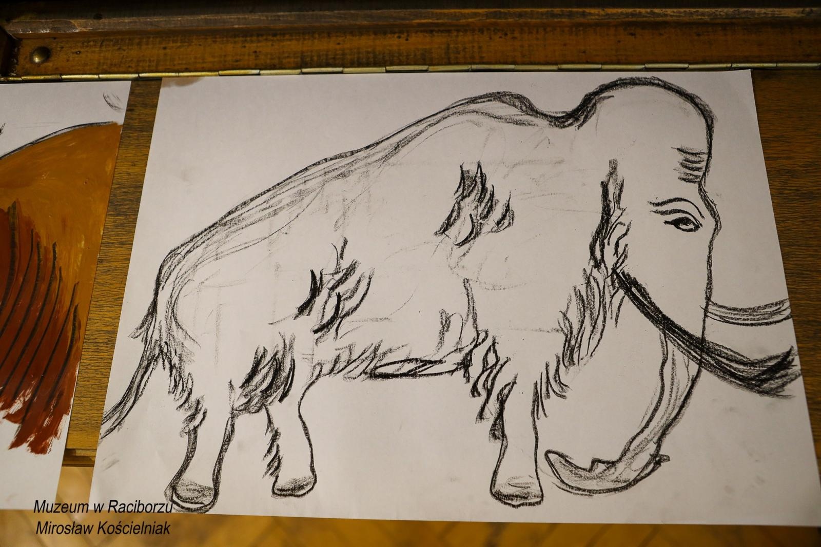 Zdjęcie w galerii na portalu naszraciborz.pl: Spotkanie z zabytkami: paleolityczna sztuka naskalna wiadomości z regionu