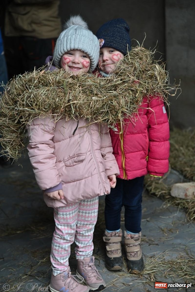 Zdjęcie w galerii na portalu naszraciborz.pl: Tanzbär 2025 – ostatki po samborowicku [FOTO i WIDEO] wiadomości z regionu