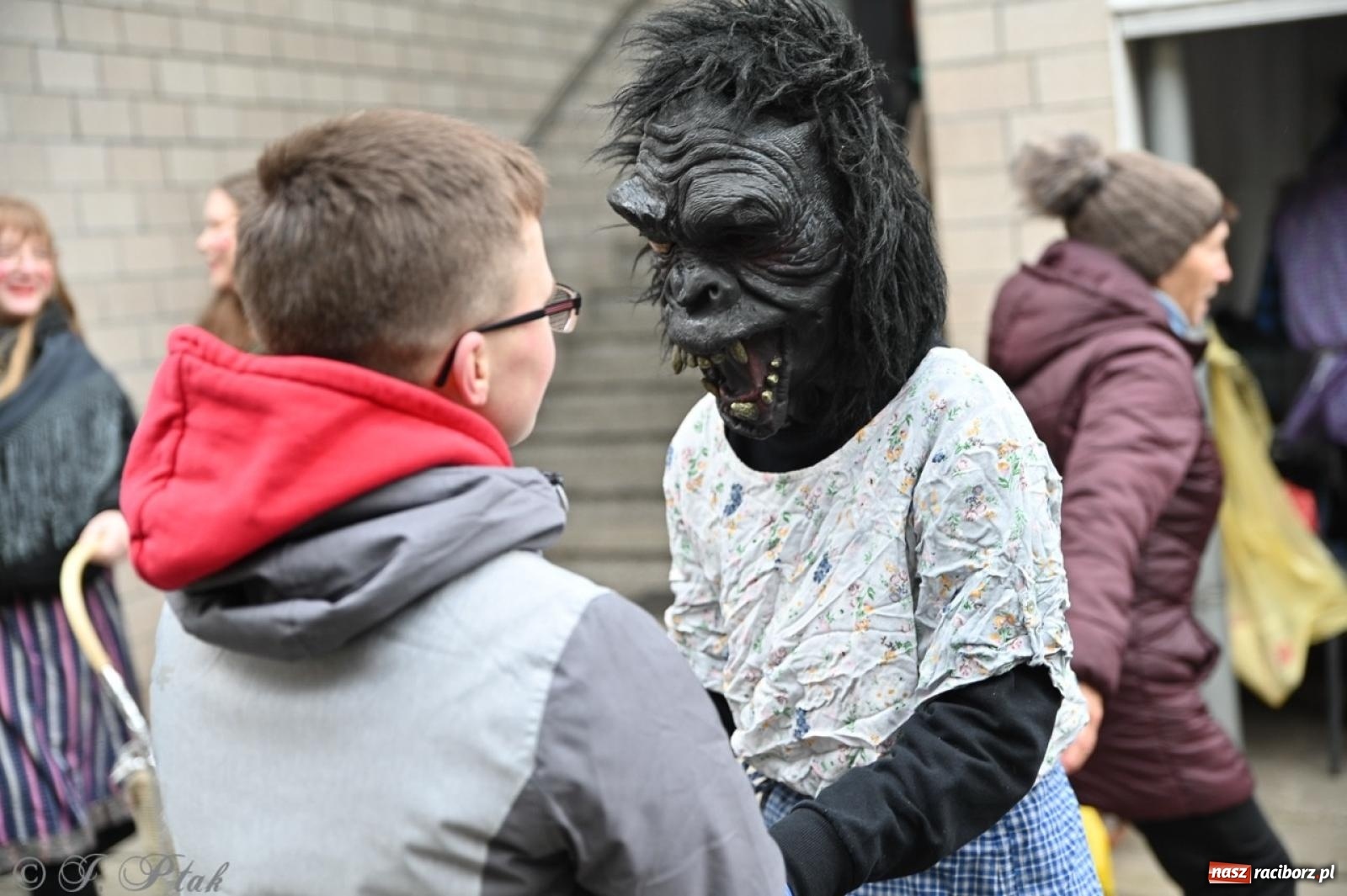 Zdjęcie w galerii na portalu naszraciborz.pl: Tanzbär 2025 – ostatki po samborowicku [FOTO i WIDEO] wiadomości z regionu