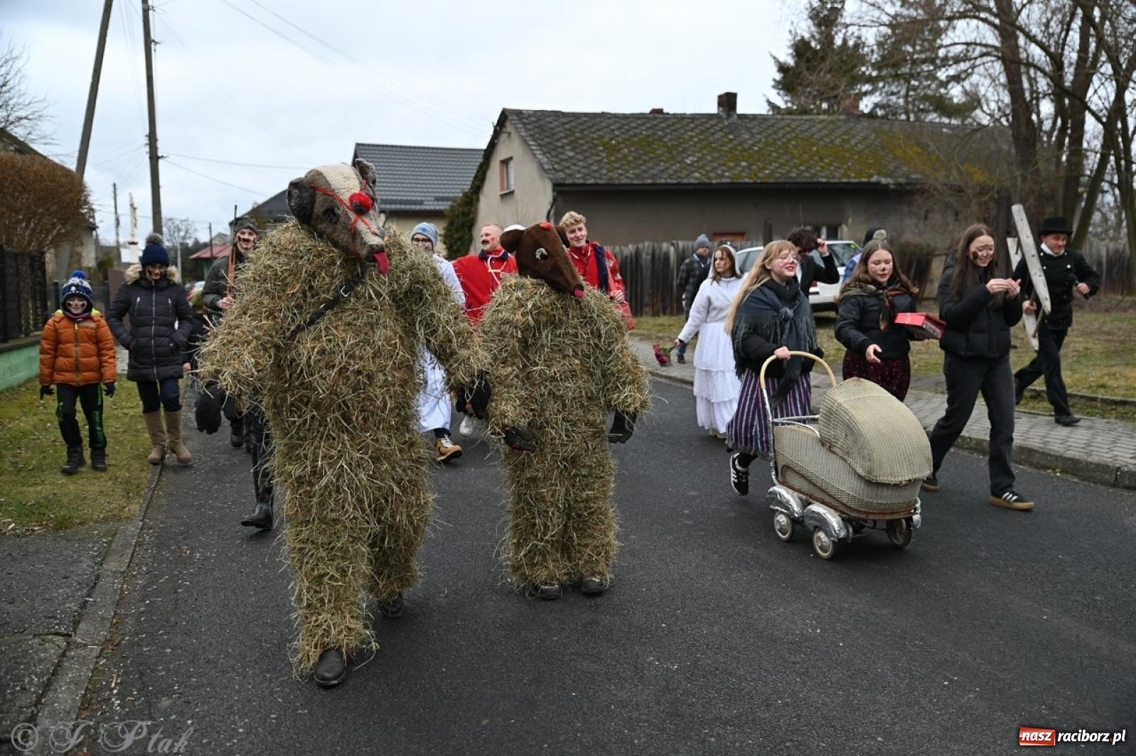 Zdjęcie w galerii na portalu naszraciborz.pl: Tanzbär 2025 – ostatki po samborowicku [FOTO i WIDEO] wiadomości z regionu