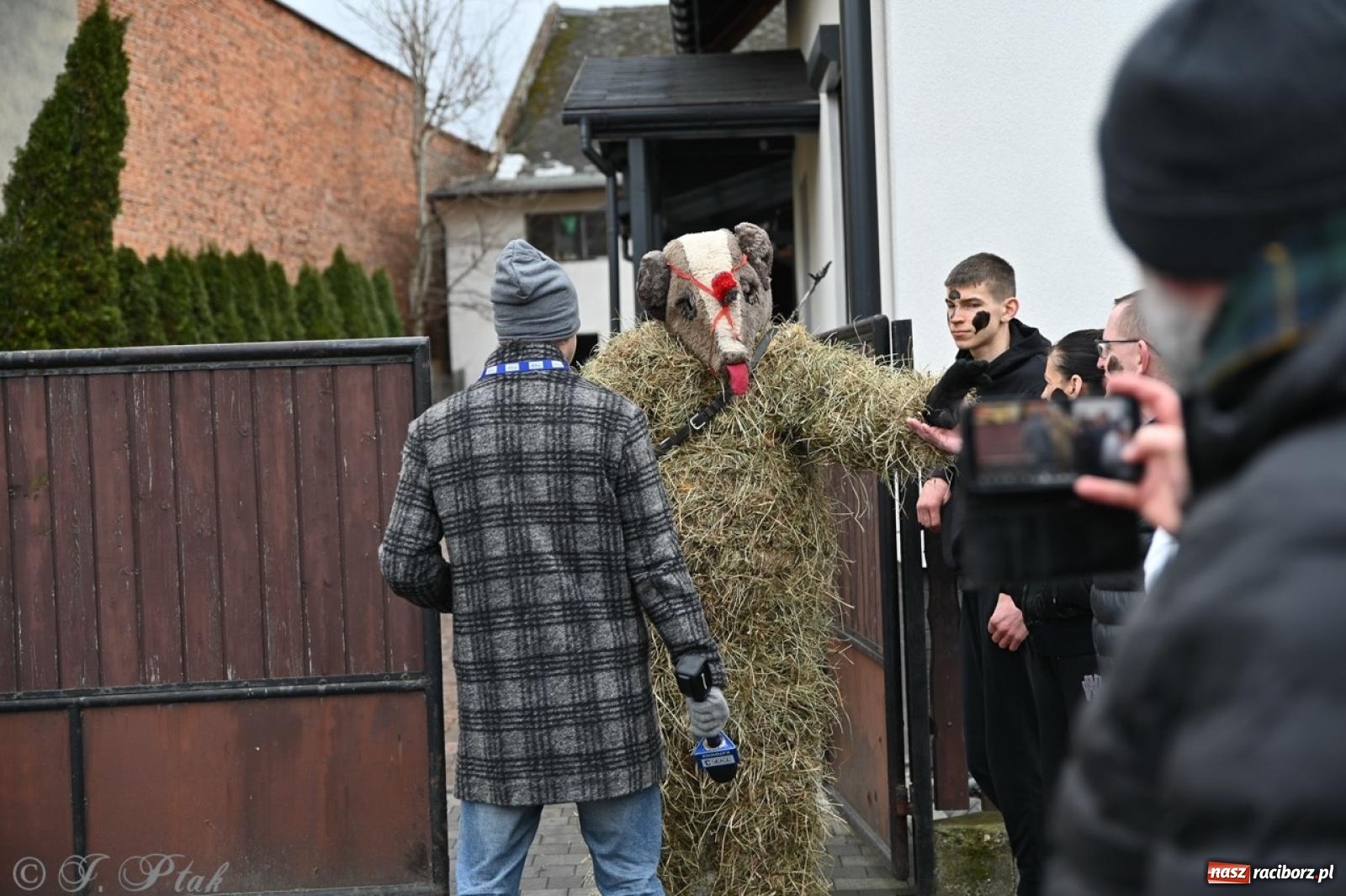 Zdjęcie w galerii na portalu naszraciborz.pl: Tanzbär 2025 – ostatki po samborowicku [FOTO i WIDEO] wiadomości z regionu