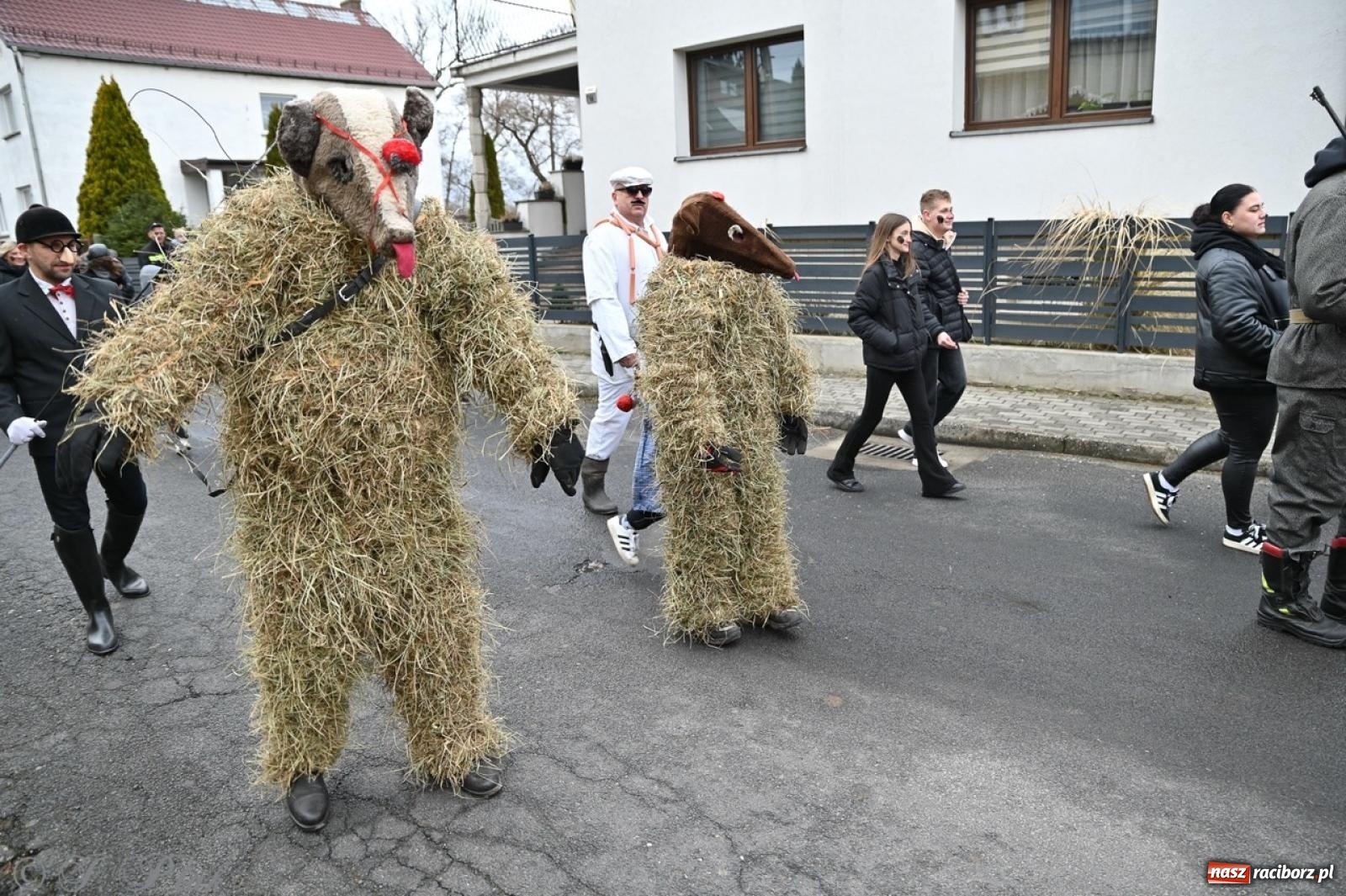 Zdjęcie w galerii na portalu naszraciborz.pl: Tanzbär 2025 – ostatki po samborowicku [FOTO i WIDEO] wiadomości z regionu