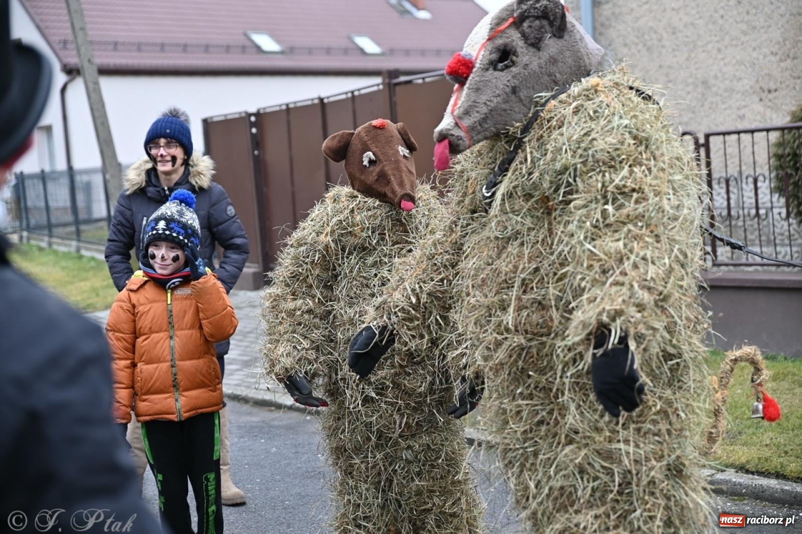 Zdjęcie w galerii na portalu naszraciborz.pl: Tanzbär 2025 – ostatki po samborowicku [FOTO i WIDEO] wiadomości z regionu