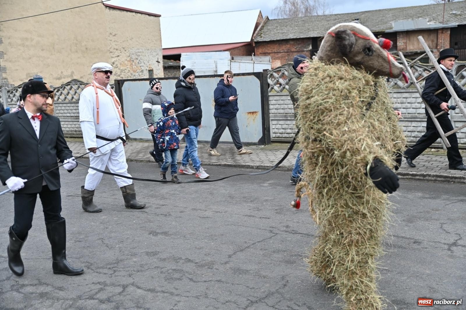 Zdjęcie w galerii na portalu naszraciborz.pl: Tanzbär 2025 – ostatki po samborowicku [FOTO i WIDEO] wiadomości z regionu