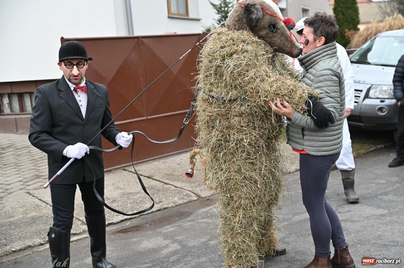 Zdjęcie w galerii na portalu naszraciborz.pl: Tanzbär 2025 – ostatki po samborowicku [FOTO i WIDEO] wiadomości z regionu
