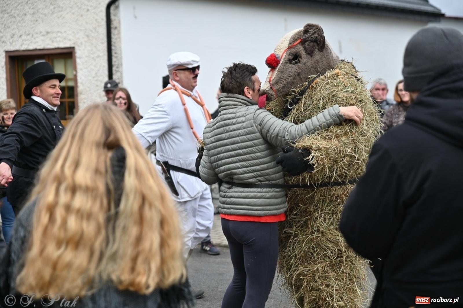 Zdjęcie w galerii na portalu naszraciborz.pl: Tanzbär 2025 – ostatki po samborowicku [FOTO i WIDEO] wiadomości z regionu
