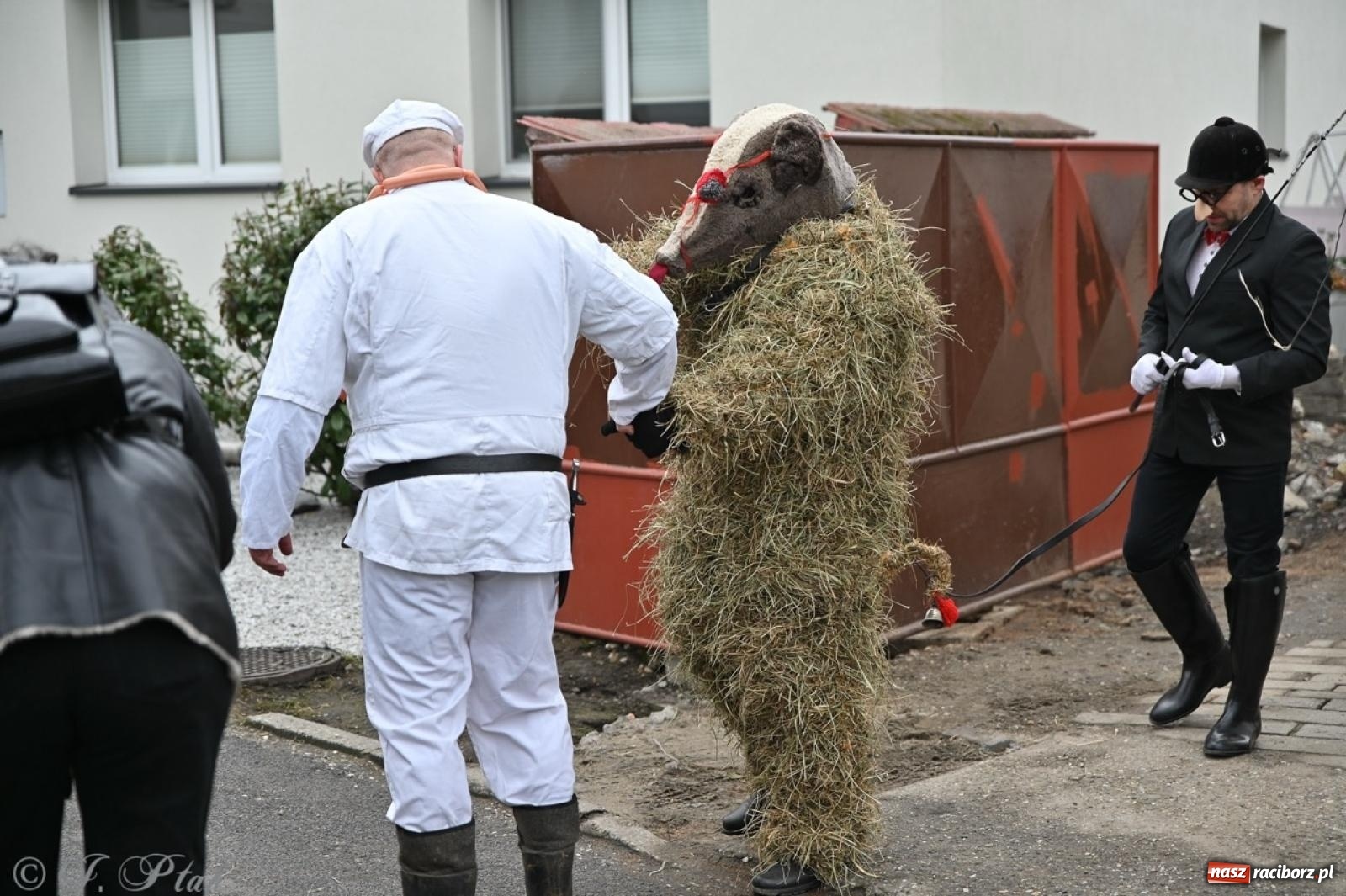 Zdjęcie w galerii na portalu naszraciborz.pl: Tanzbär 2025 – ostatki po samborowicku [FOTO i WIDEO] wiadomości z regionu