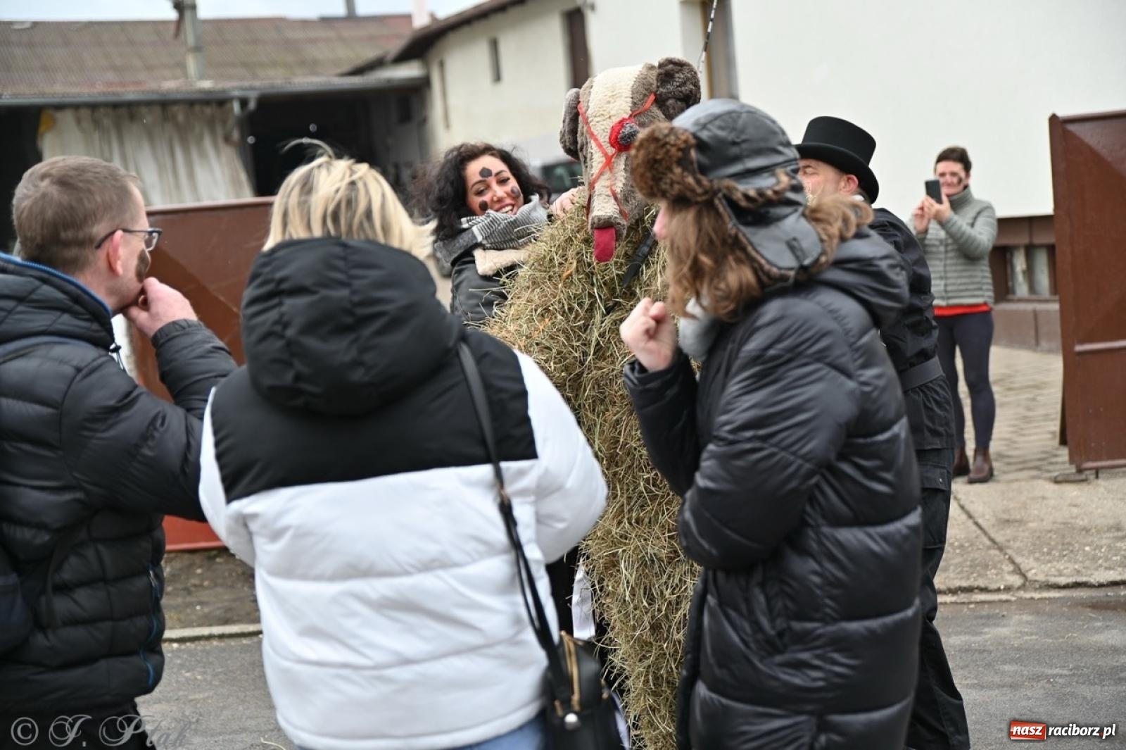 Zdjęcie w galerii na portalu naszraciborz.pl: Tanzbär 2025 – ostatki po samborowicku [FOTO i WIDEO] wiadomości z regionu