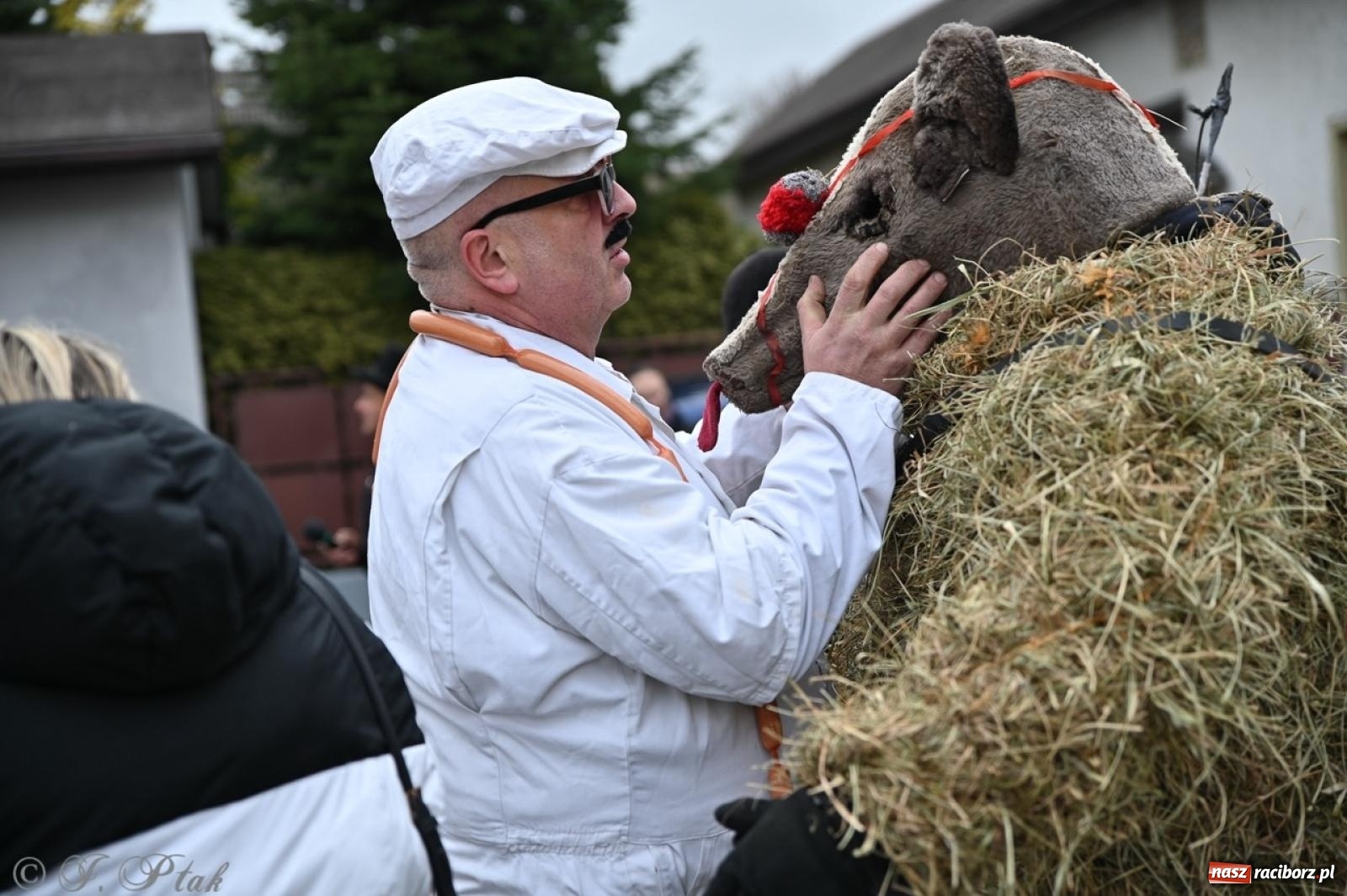 Zdjęcie w galerii na portalu naszraciborz.pl: Tanzbär 2025 – ostatki po samborowicku [FOTO i WIDEO] wiadomości z regionu