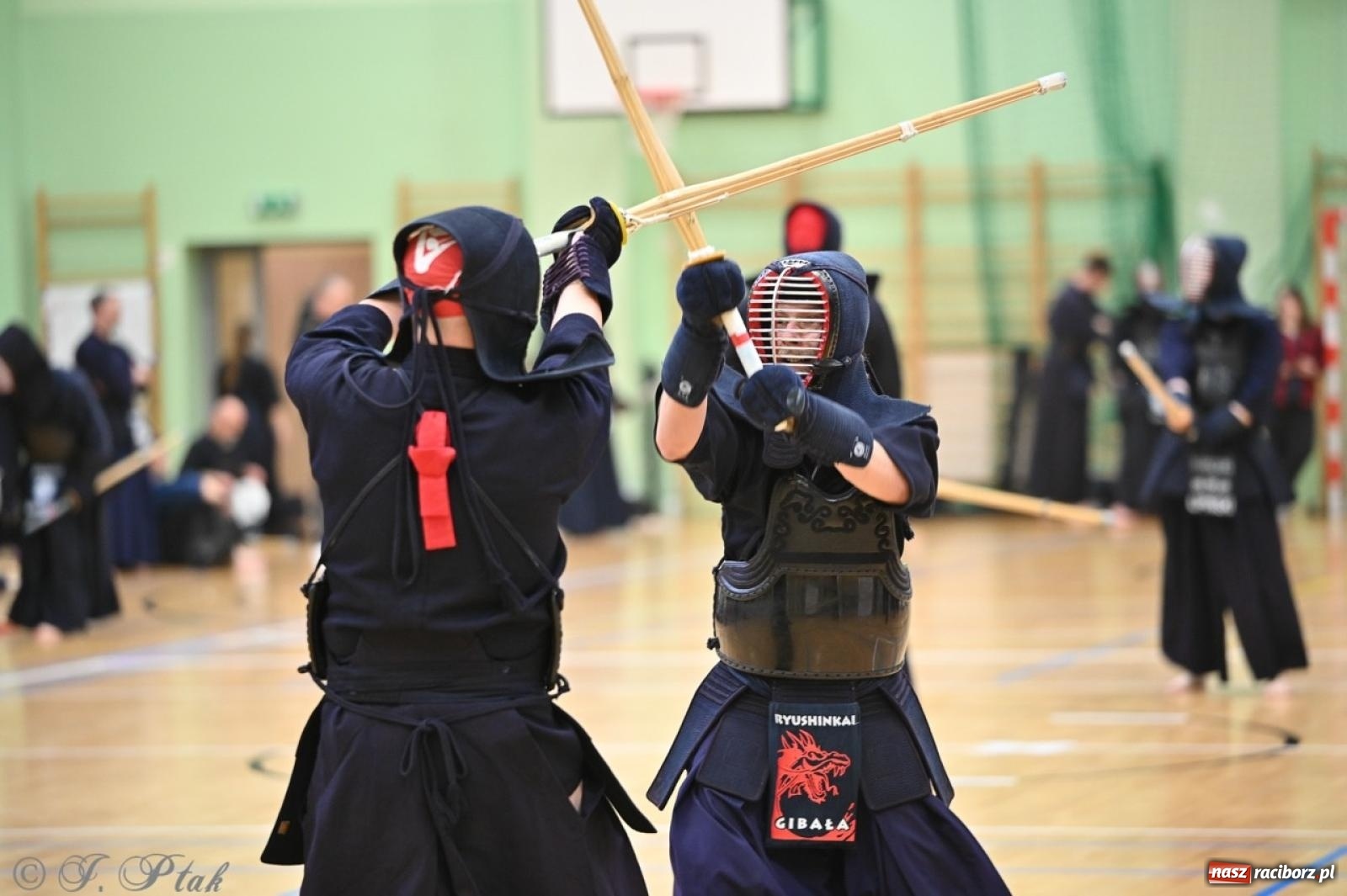 Zdjęcie w galerii na portalu naszraciborz.pl: Racibórz areną zmagań w Indywidualnych Mistrzostwach Polski w Kendo [FOTO i WIDEO] wiadomości z regionu