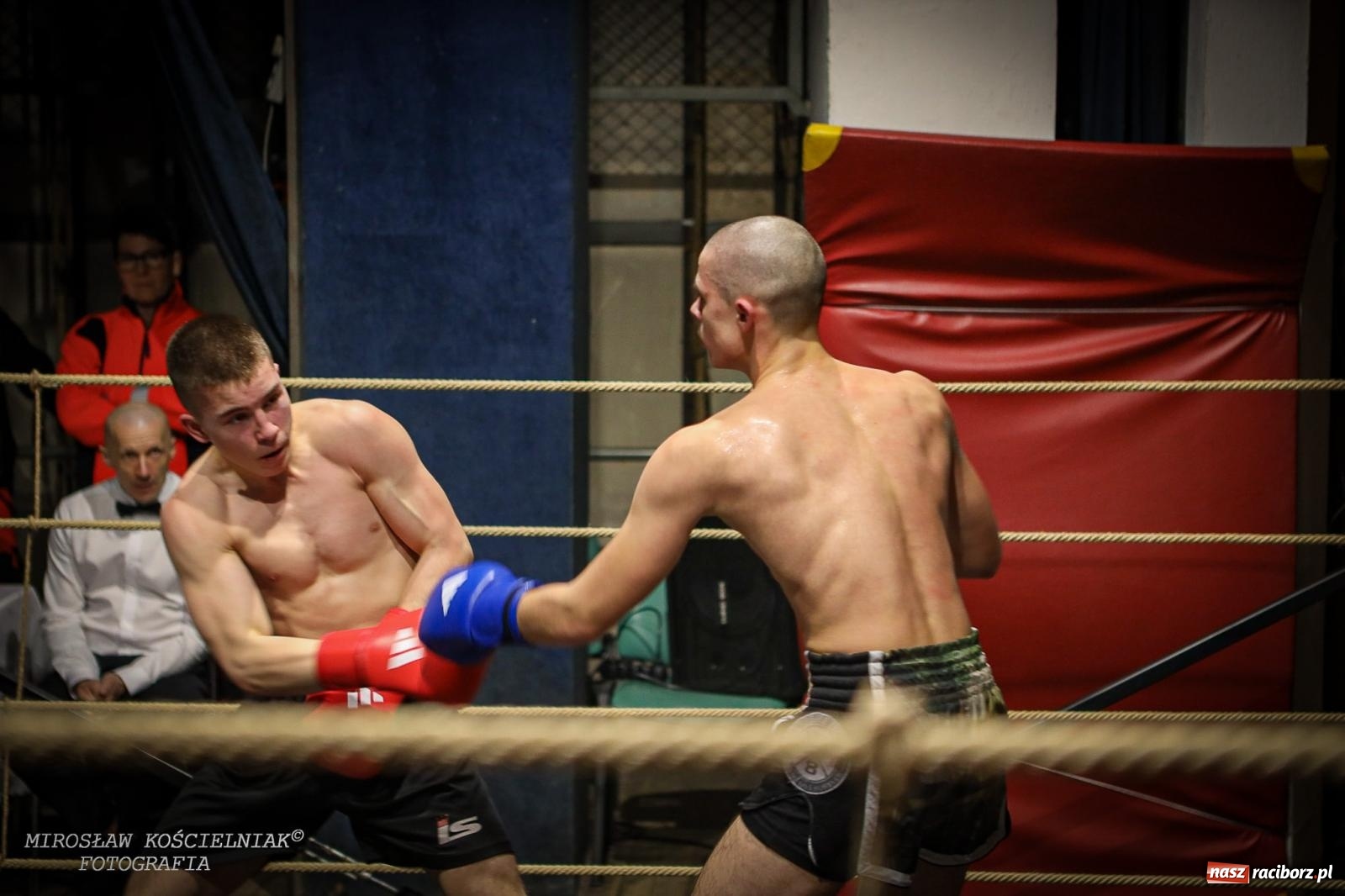 Zdjęcie w galerii na portalu naszraciborz.pl: Bokserskie show w retro stylu – niezapomniana gala w Kietrzu [FOTO i WIDEO] wiadomości z regionu