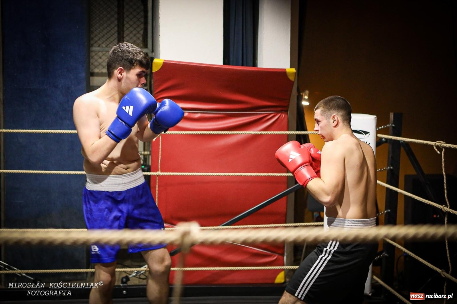 Zdjęcie w galerii na portalu naszraciborz.pl: Bokserskie show w retro stylu – niezapomniana gala w Kietrzu [FOTO i WIDEO] wiadomości z regionu