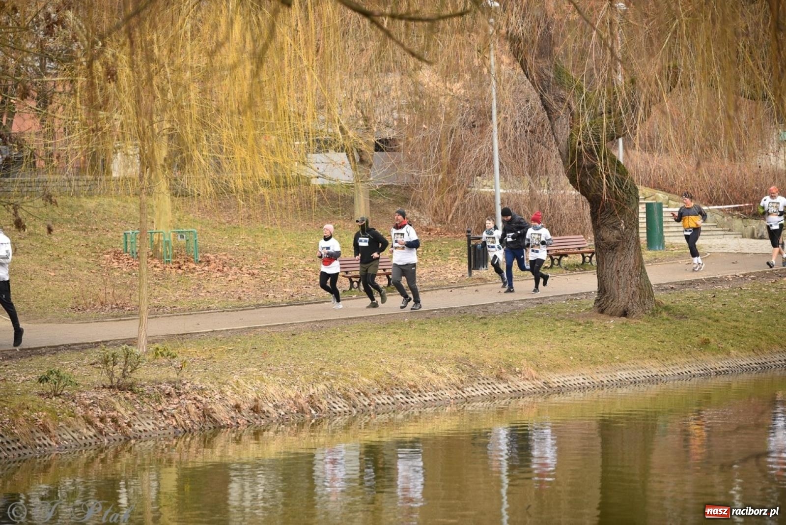 Zdjęcie w galerii na portalu naszraciborz.pl: Bieg Pamięci Żołnierzy Wyklętych TROPEM WILCZYM 2025: Racibórz uhonorował Niezłomnych wiadomości z regionu