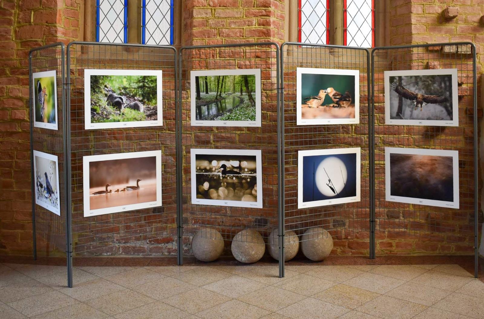 Zdjęcie w galerii na portalu naszraciborz.pl: Zamek Piastowski i Nadleśnictwo Rudy Raciborskie rozpoczynają współpracę wiadomości z regionu