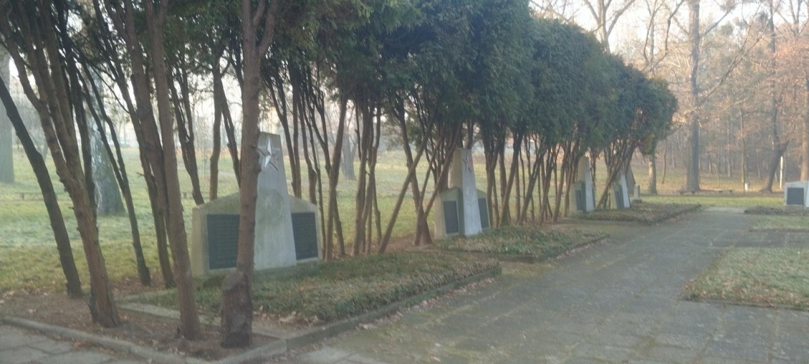 Zdjęcie w galerii na portalu naszraciborz.pl: Zielony Raciborzu, dokąd idziesz? Co się dzieje z tak zwaną pielęgnacją zieleni w Raciborzu? [LIST DO REDAKCJI] wiadomości z regionu