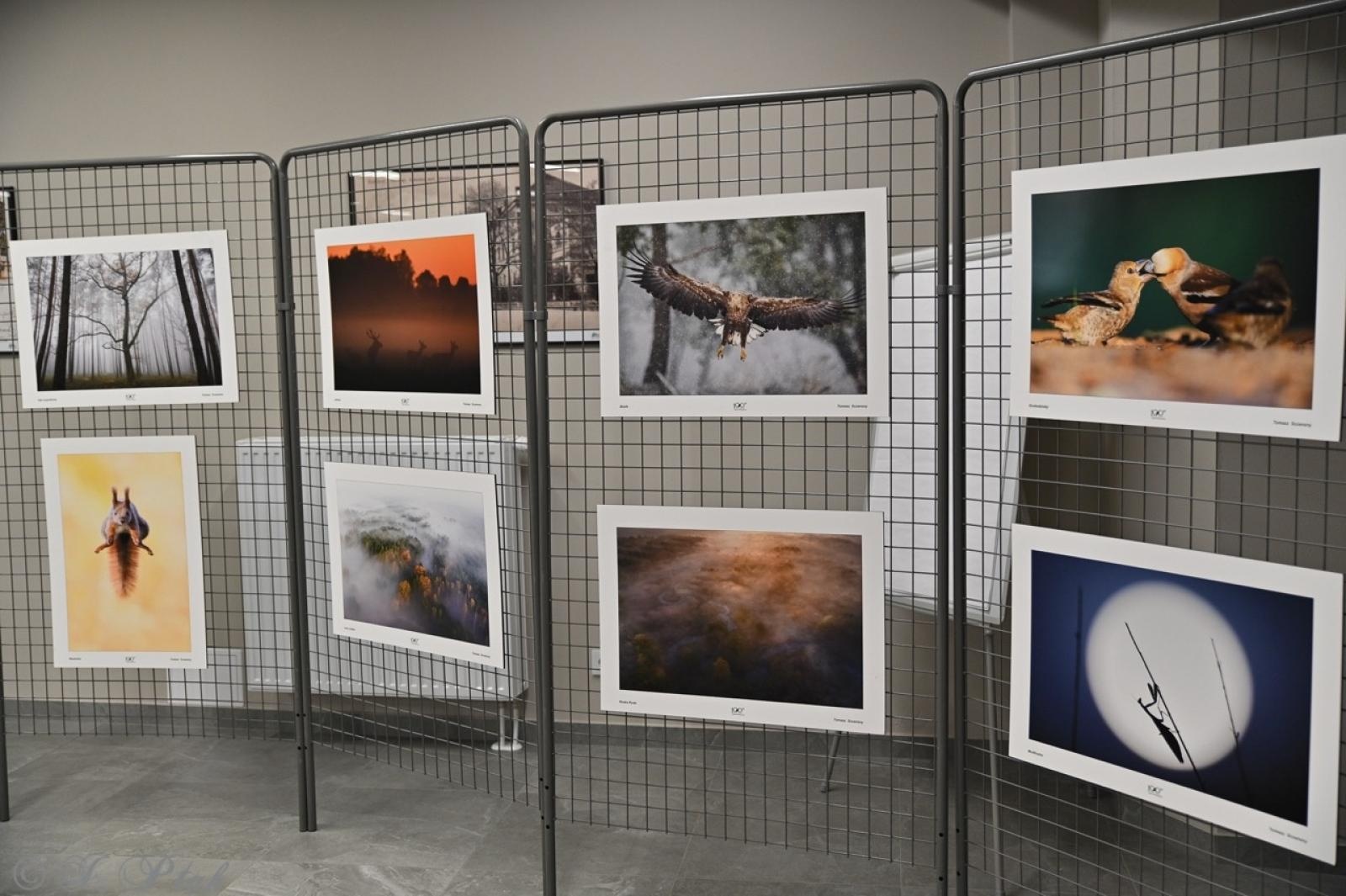 Zdjęcie w galerii na portalu naszraciborz.pl: Skarby przyrody i historii Łężczoka – kolejne spotkanie Akademii Leśnika za nami [FOTO i WIDEO] wiadomości z regionu